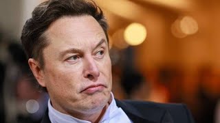 Elon Musk qui est sa discrète et influente compagne Shivon Zilis [upl. by Mackay399]