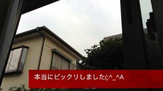 【速報】千葉県浦安市ディズニーリゾート周辺凄い雷Around Urayasushi Chiba Disney resort terrible thunder 【mucci TV】 [upl. by Airamzul]