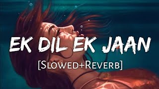 Ek Dil Ek Jaan SlowedReverb Lofi Songlofimusic3302 [upl. by Eamaj]