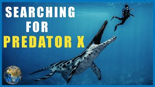 Searching for Predator X [upl. by Eunice]