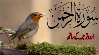 Surah Rahman With Urdu Translation full Qari Al Sheikh Abdul Basit Abdul Samad 2023 [upl. by Willem]