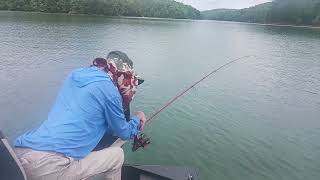 Hiwassee lake Stripers [upl. by Eitsyrhc111]