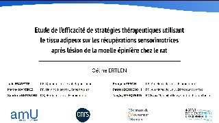 Soutenance de thèse  Céline ERTLEN [upl. by Dove]