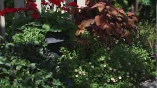 Patio Designs  Tips for Backyard Landscaping [upl. by Ainex]