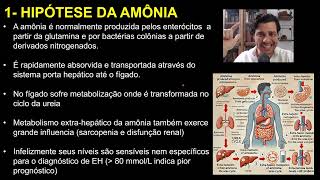 Encefalopatia Hepática Aula Completa [upl. by Reinold]