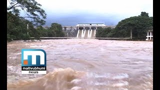 Floods At Palakkad Recede Mathrubhumi News [upl. by Collins]