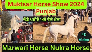 Muktsar Biggest Horse Show Horse Fair 2024  ਮੁਕਤਸਰ ਘੋੜਿਆ ਦਾ ਵੱਡਾ ਮੇਲਾ 2024 [upl. by Enilrae]