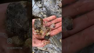 Herkimer Diamond Quartz or Petroleum Quartz Hunting rockhounders crystalhunting gemsstone [upl. by Neahs117]