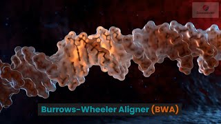 The Burrows Wheeler Aligner BWA [upl. by Publias433]