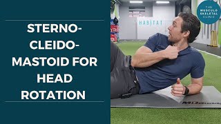 Strengthen your sternocleidomastoid for head rotation  The MSK Physio [upl. by Arne]