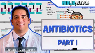 Antibiotics Cell Wall Synthesis Inhibitors Part 1 [upl. by Zetrom709]