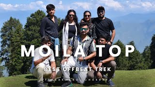 Moila Top  Best offbeat location Trek in Uttarakhand Chakrata moilatop chakrata uttarakhand [upl. by Aruabea758]