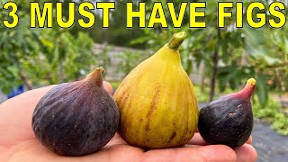 3 MUST HAVE FIG VARIETIES For Every Garden [upl. by Nosille]