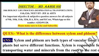 What is the difference between xylem and phloem [upl. by Nnazus]