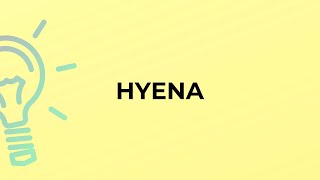 What is the meaning of the word HYENA [upl. by Iturhs179]