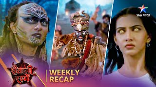 Weekly Recap  Shaitani Rasmein  Nikki ne haasil kiye Narbhakshi ke kesh [upl. by Dloniger]