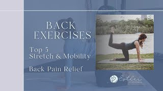 Relief Your Back Pain with this 5 Exercises  Stretch and Mobility  Follow along [upl. by Nairrad]