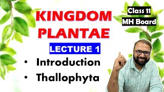 Thallophyta Kingdom Plantae Lecture 1  Class 11 Biology  Maharashtra State Board [upl. by Ransom]