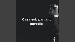 Casa sub pamant parodie [upl. by Mou]