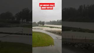 Das Wasser steigt immer weiter Extremes Hochwasser an der Donau in Österreich hochwasser rain [upl. by Kcirdek]