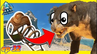 ▶️Cómo Hacer una Montura de THYLACOLEO🐯en ARK  El Primer Superviviente  Ark Survival Ascended [upl. by Niawd]