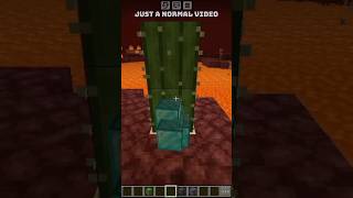 Minecraft apps bits 64 bits 32 bits 16 bits 8 bits 4 bits 2 bits 1 bits ½ bits ¼ bits Æ bits part2 [upl. by Regdirb4]