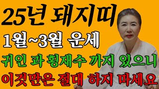 🐷돼지띠 25년 삼재이지만 귀인 횡재수까지 있으니 나이별로 이것만은 절대 하지마세요 돼지띠운세 사주 [upl. by Eikcid831]