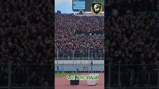 Raja casablanca fans  الرجاء الدارالبيضاء [upl. by Saturday]