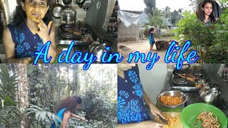 A day in my life amu kaha niweradiwa thamba ganimakurahan kanda recipeamu kaha face pack 🇱🇰 [upl. by Ankney115]