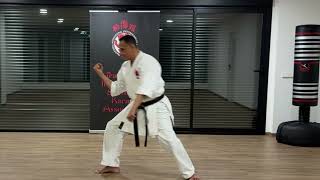 The Official Tiska Karate  4 Heian Sandan Detailed Tips [upl. by Vitia477]