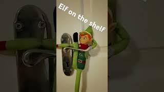 Elf on the shelf [upl. by Laertnom335]