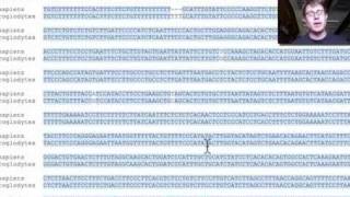 GCSE Biology  Variation and Evolution 68 [upl. by Ettenyar]