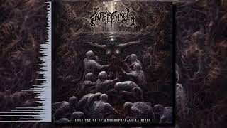 Infectology  Deification of Anthropophagical Rites Full Album [upl. by Idid685]