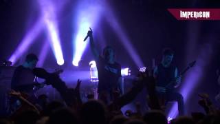 Architects  Naysayer Official HD Live Video [upl. by Atnomed]