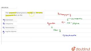 The lamprey Petromyzon is included in the same taxonomic class as the [upl. by Arlan]