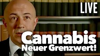 Cannabis und Führerschein ab dem 14  Alle Antworten  LIVE [upl. by Murdocca]