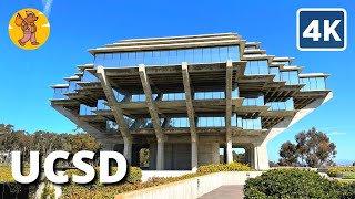 UCSD Campus Walking Tour  San Diego CA 4k 🔊 Binaural Sound [upl. by Winthorpe]