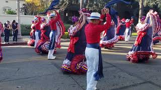 Desfile de la rosa banda de Costa Rica [upl. by Akino308]