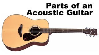 Parts of an Acoustic Guitar Tutorial for Beginners Guitar Lesson [upl. by Annuahs401]