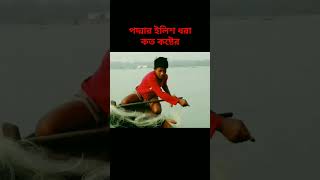 Bangali ilish padma riverfishing reels fishinggear shortvideo youtubeshorts ilish [upl. by Avin728]