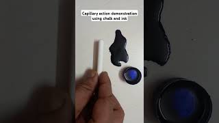 Capillary actiondemonstration using ink and chalk [upl. by Doi966]