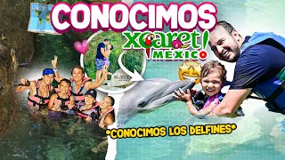 NADAMOS con DELFINES 🤟  CONOCIMOS el lado oculto de XCARET  Los Molina [upl. by Herv]