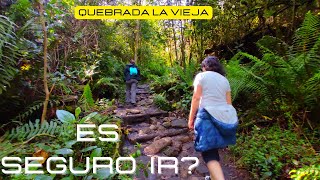 QUEBRADA LA VIEJA en Bogotá Como llegar Cuándo ir 🏃‍♀️🏃🌄 [upl. by Garson]