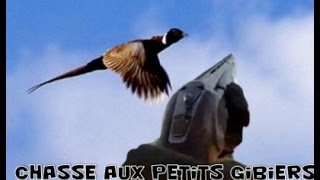 Chasse au petit gibier  De nombreuses actions [upl. by Aleahcim34]