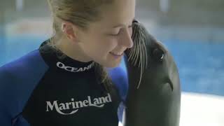 Marineland quotGenerationsquot Commercial 2014 EN [upl. by Lisabet]