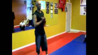 Professor Watts of the Wing Chun and Chun Jitsu Ryu system PT 3 [upl. by Sylado970]