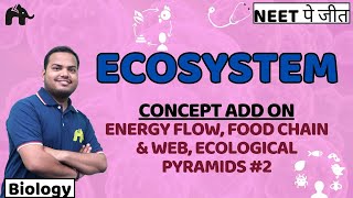 Ecosystem Class 12 Biology NEET  NCERT Chapter 12  Food chain amp Web Ecological Pyramids 2 [upl. by Yoo530]