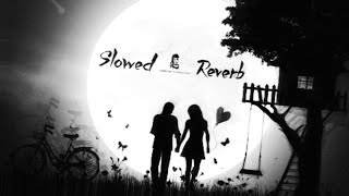 Mohabbat Tujhe Alvida Kar Diya  Slowed  Reverb [upl. by Laemaj]