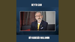 Diyarbekir Malamın [upl. by Freeland]