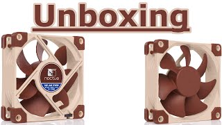 Noctua NFA8 PWM Unboxing Video Leiser PremiumLüfter 4Pin 80mm Braun [upl. by Aicala]